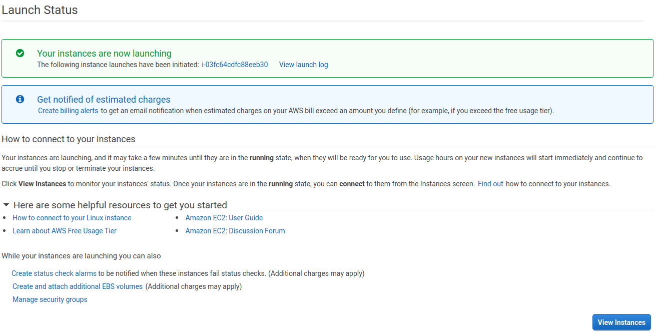 ../_images/amazon-cloud-launch-status.png